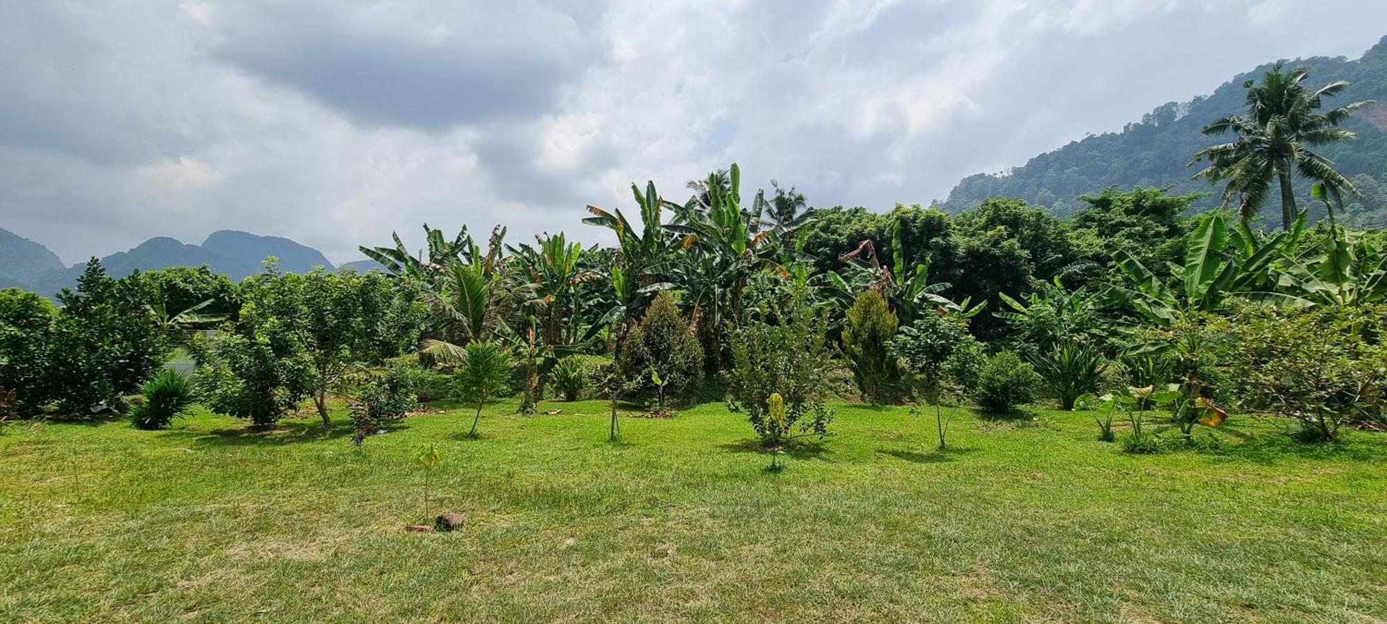 Tambun Hillview Cottage 1 מראה חיצוני תמונה